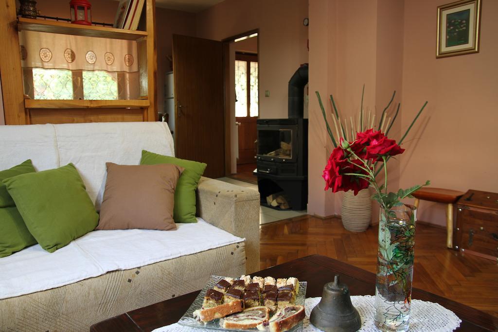 Apartment Eva Rakovica Habitación foto